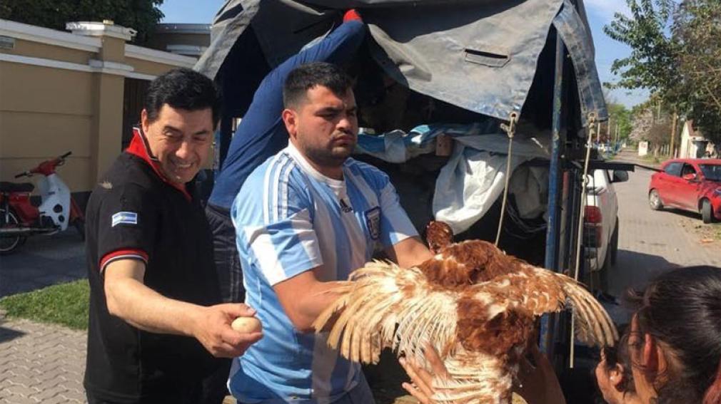 Legislador repartió más de mil galllinas 'ponedoras' entre vecinos