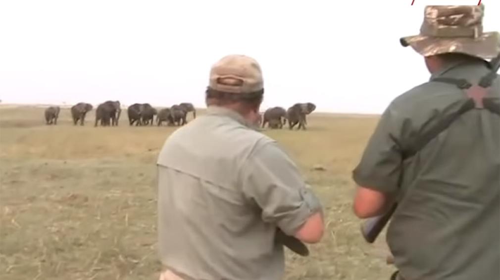 Una manada de elefantes arremete contra dos cazadores por matar a uno de los suyos