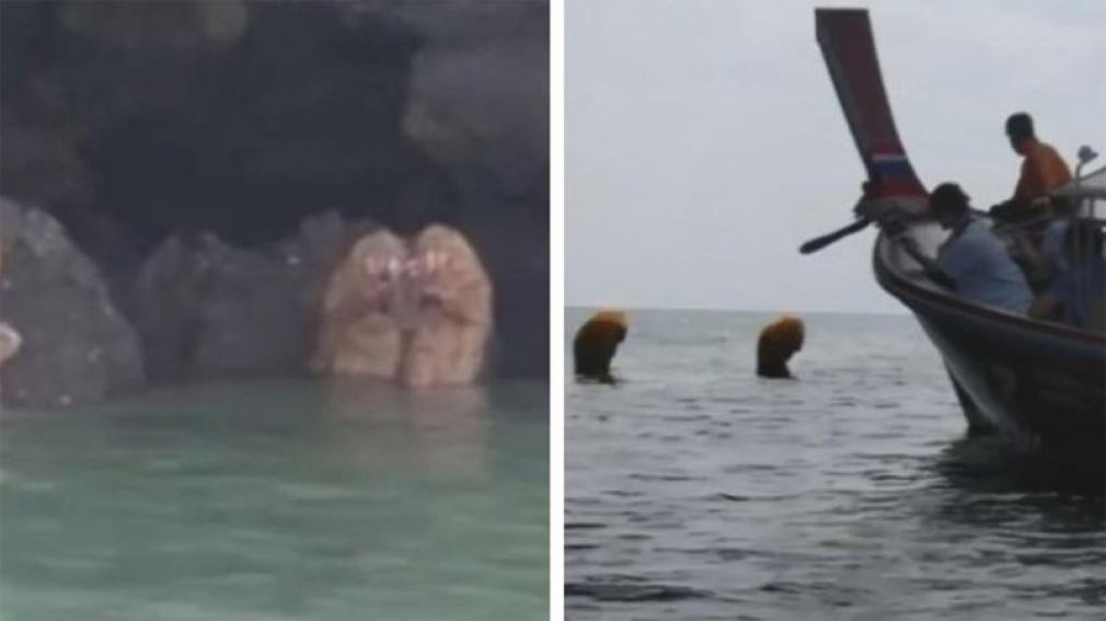 Turistas sorprendidos al ver seres extraños realizando un ritual en Tailandia