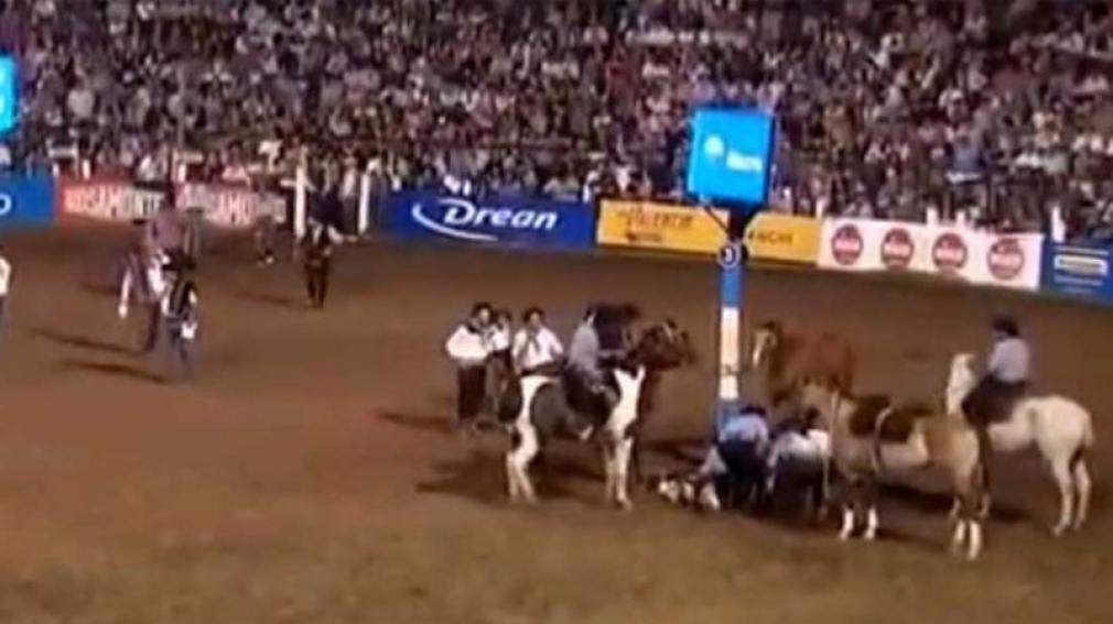 Murió un caballo en Jesús María y se reavivó la polémica