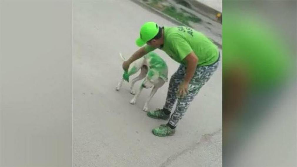 Ahora funcionarios justicialistas quieren adoptar al perro pintado de verde