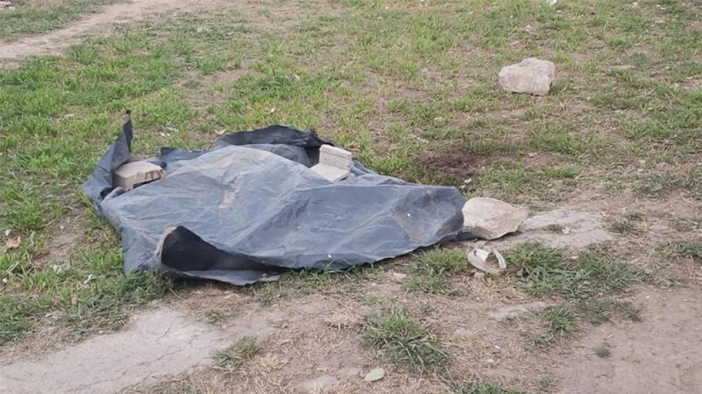 Córdoba: un dogo hirió a cuatro vecinos y ellos lo mataron a puñaladas