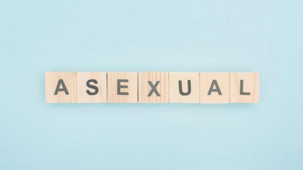 'El sexo no tiene sentido y no es productivo'