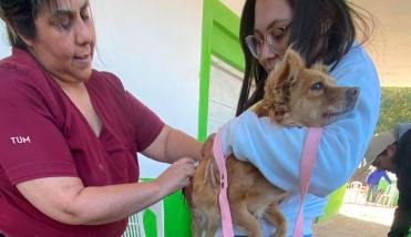 La Cañada realizó un nuevo operativo de castración animal y anunció una nueva jornada en julio